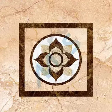 Home zobtpknmkbvw1kfctyip